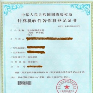 日照市專利申請(qǐng)與版權(quán)代理服務(wù)全解析
